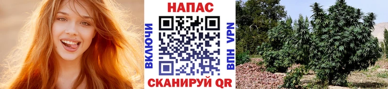 Бошки Шишки Bruce Banner Фёдоровский